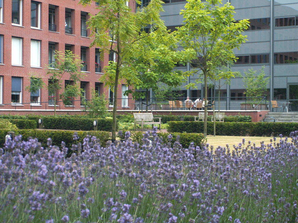 TOON tuin